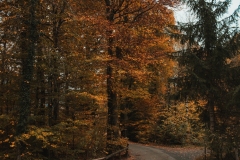 Ballenberg November 2022