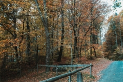 Ballenberg November 2022