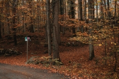 Ballenberg November 2022