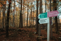 Ballenberg November 2022