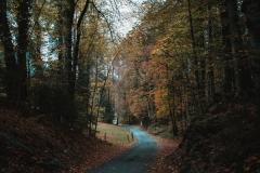 Ballenberg November 2022