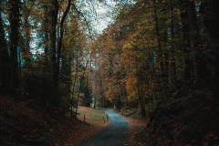 Ballenberg November 2022