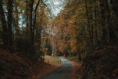 Ballenberg November 2022