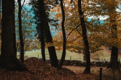 Ballenberg November 2022