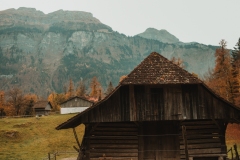 Ballenberg November 2022