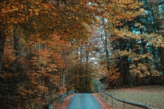 Ballenberg November 2022