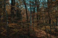 Ballenberg November 2022