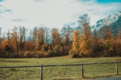 Ballenberg November 2022