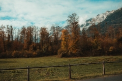 Ballenberg November 2022